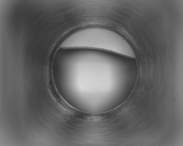 X0000070160444200605260943