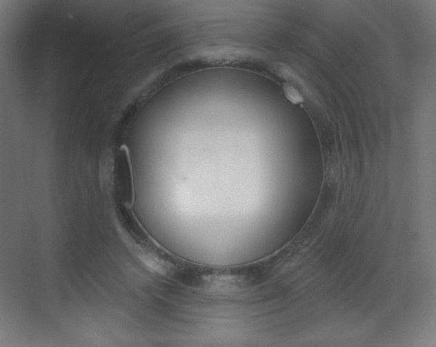 X0000070160448200605260943