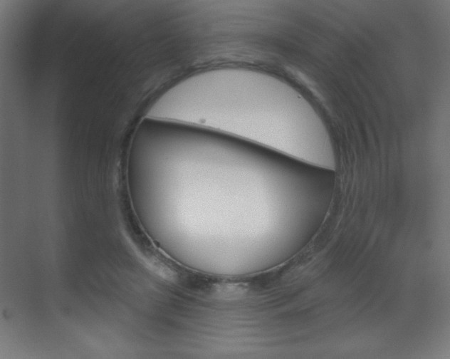 X0000070160451200605260943