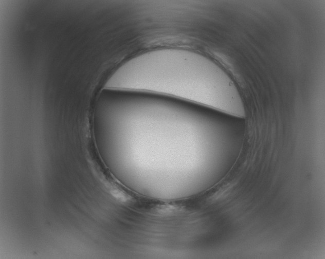 X0000070160453200605260943