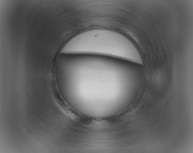 X0000070160455200605260943