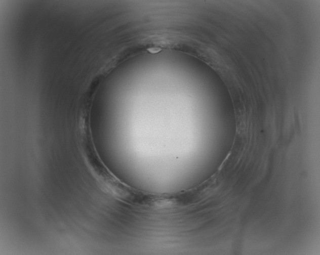 X0000070160456200605260943