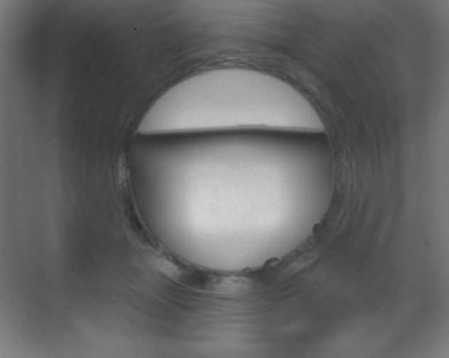 X0000070160463200605260943