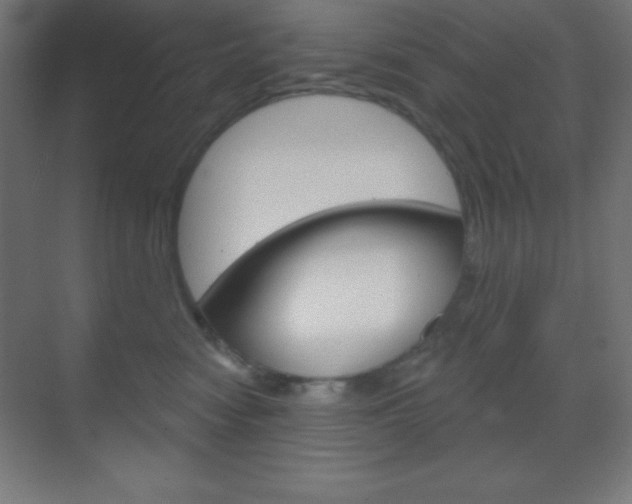 X0000070160474200605260943