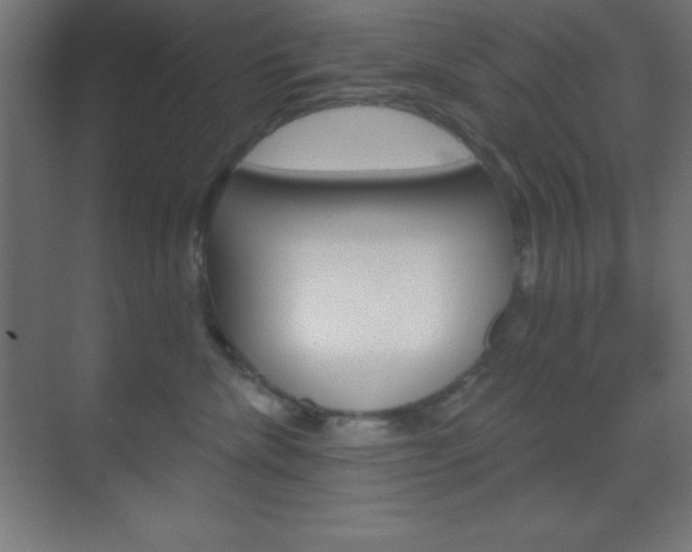 X0000070160476200605260943