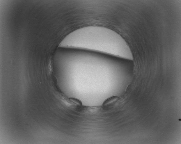 X0000070160479200605260943