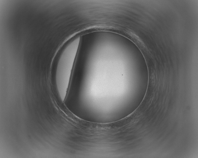 X0000070160484200605260942