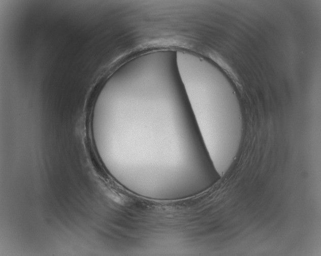X0000070160486200605260942