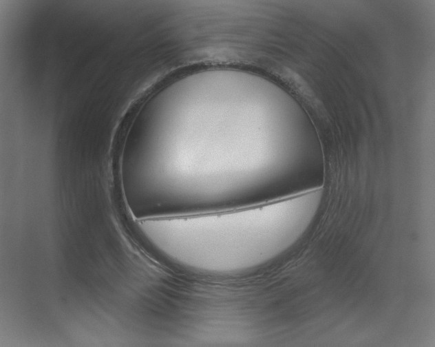 X0000070160488200605260942