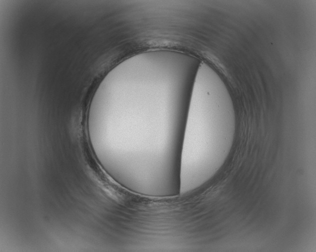 X0000070160490200605260942
