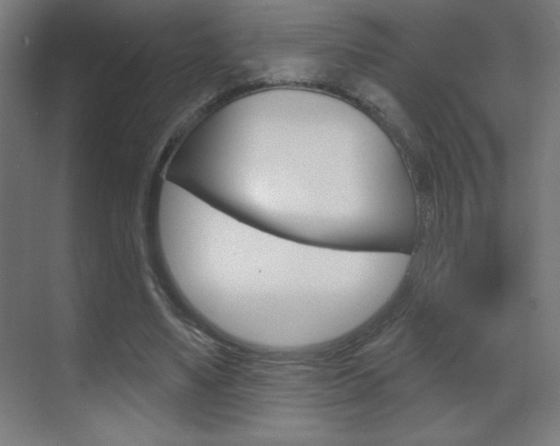 X0000070160491200605260942