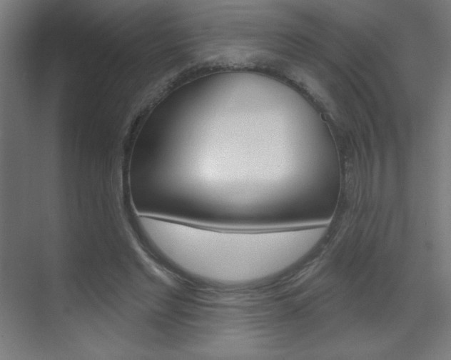 X0000070160493200605260942