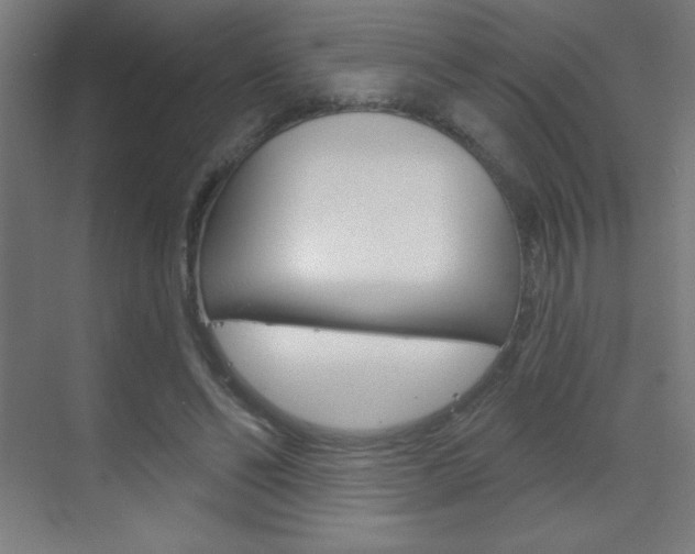 X0000070160494200605260942