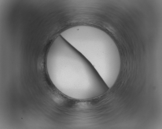 X0000070160499200605260942