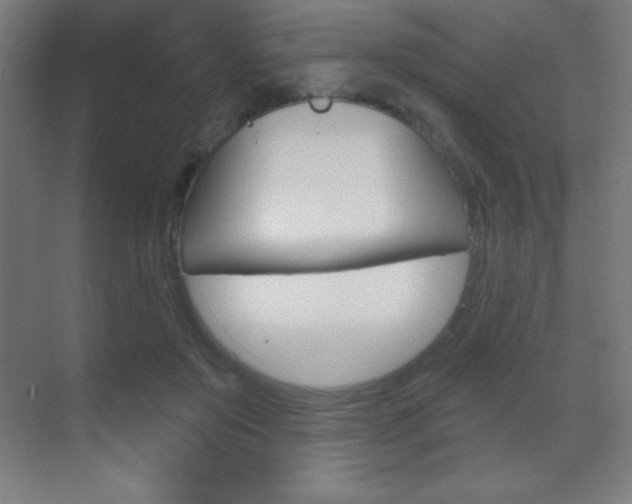 X0000070160503200605260942
