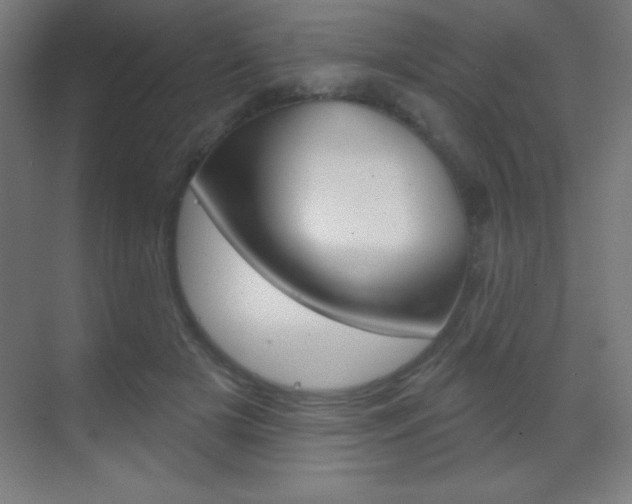 X0000070160505200605260942