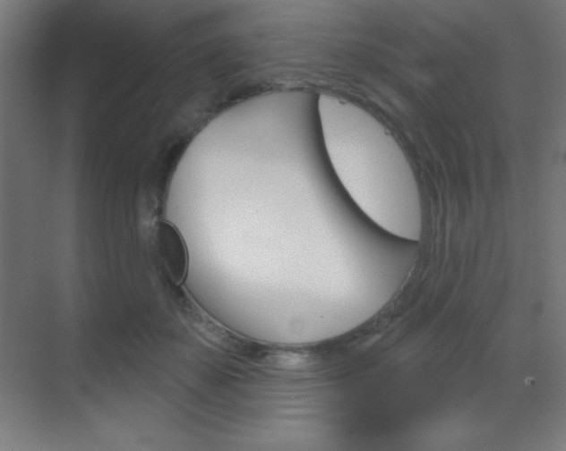 X0000070160507200605260942