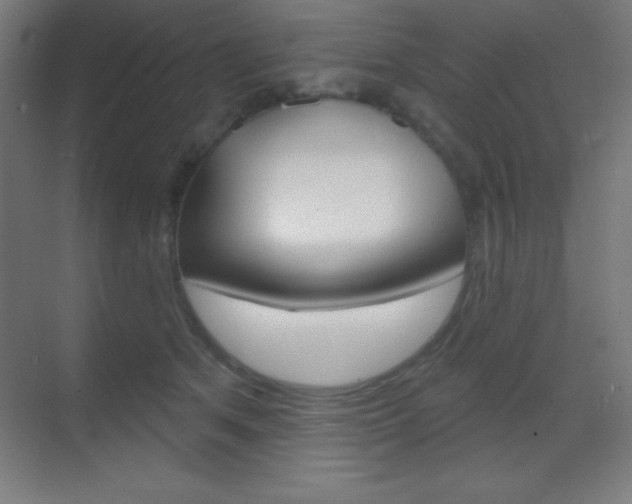 X0000070160513200605260942