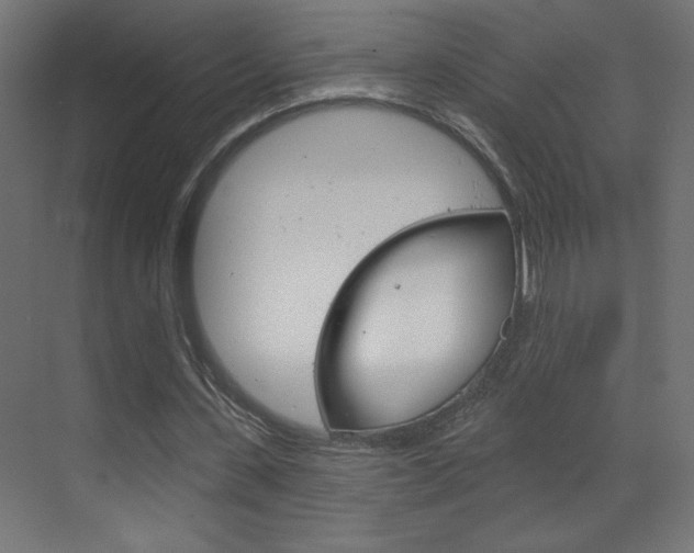 X0000070160531200605260941