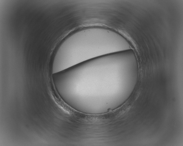 X0000070160533200605260941
