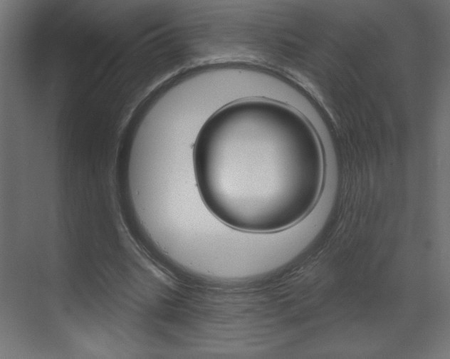 X0000070160535200605260941