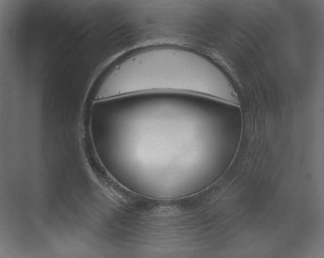 X0000070160536200605260941