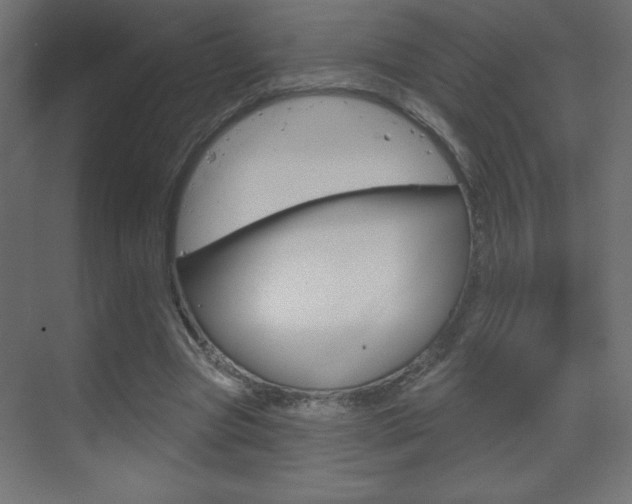 X0000070160537200605260941