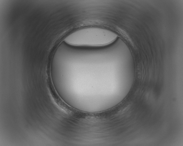 X0000070160538200605260941