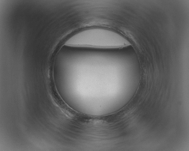 X0000070160539200605260941
