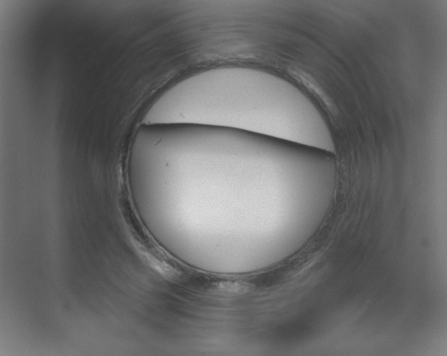 X0000070160541200605260941