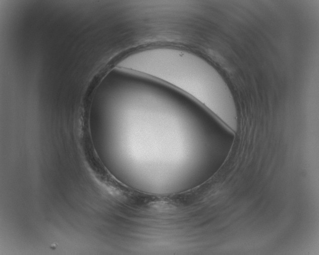 X0000070160544200605260941