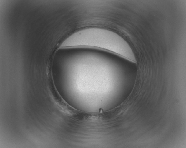 X0000070160546200605260941