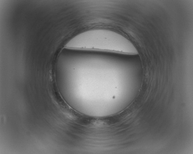 X0000070160547200605260941