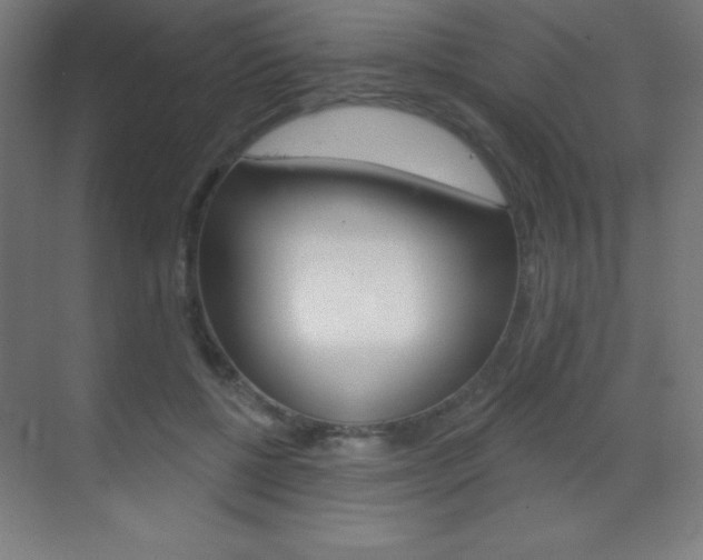 X0000070160552200605260941