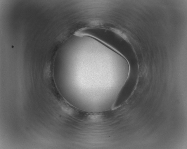 X0000070160560200605260941