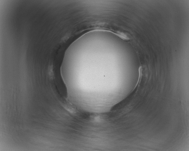 X0000070160564200605260942