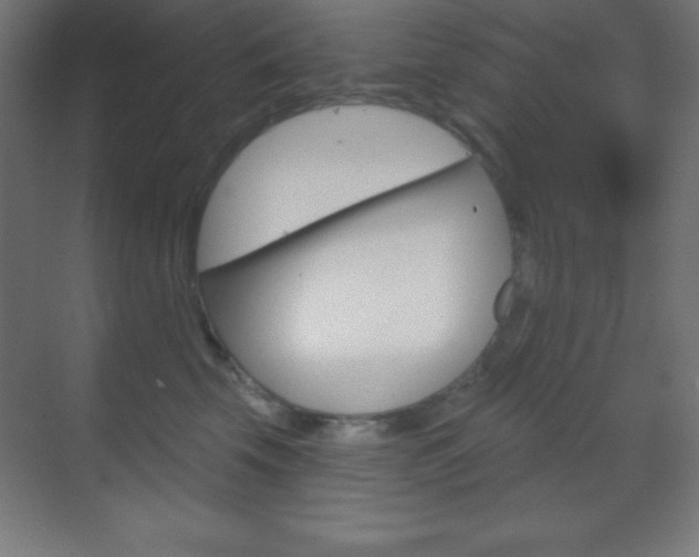 X0000070160569200605260942