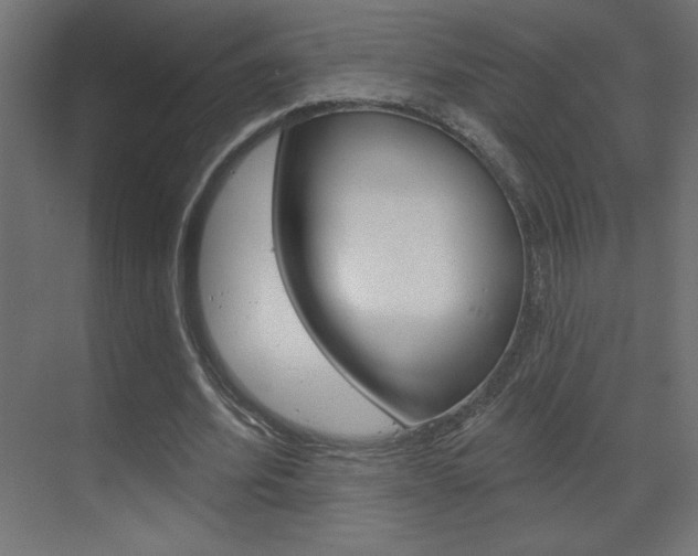 X0000070160580200605260941