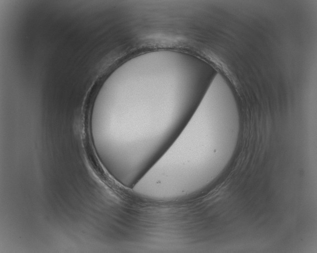 X0000070160582200605260941