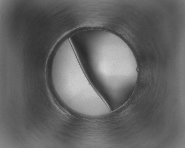 X0000070160584200605260941