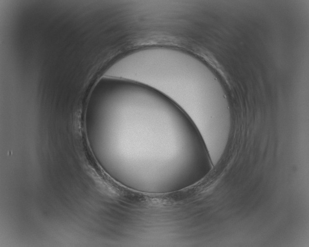 X0000070160585200605260941