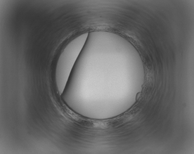 X0000070160591200605260941