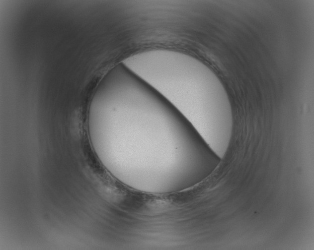 X0000070160594200605260941