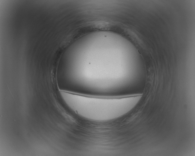 X0000070160597200605260941