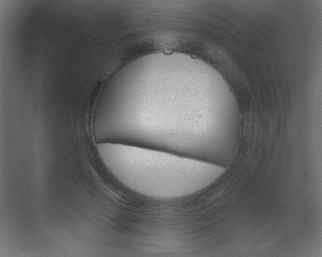 X0000070160598200605260941