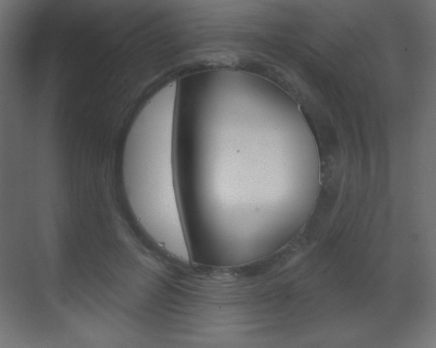 X0000070160600200605260941