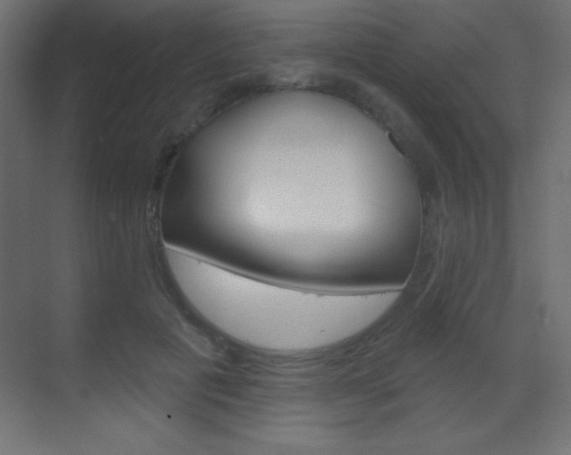 X0000070160601200605260940
