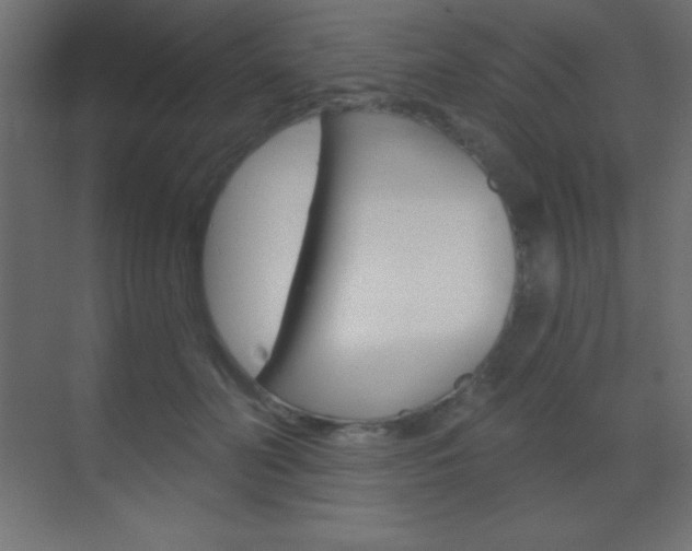 X0000070160606200605260940