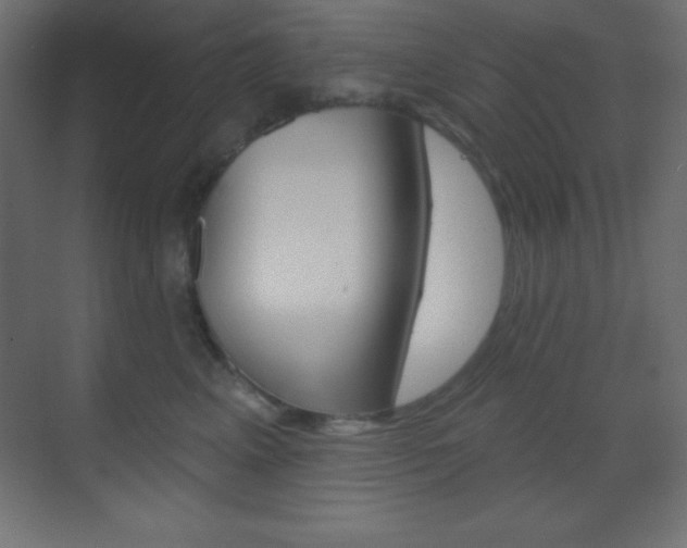 X0000070160617200605260940