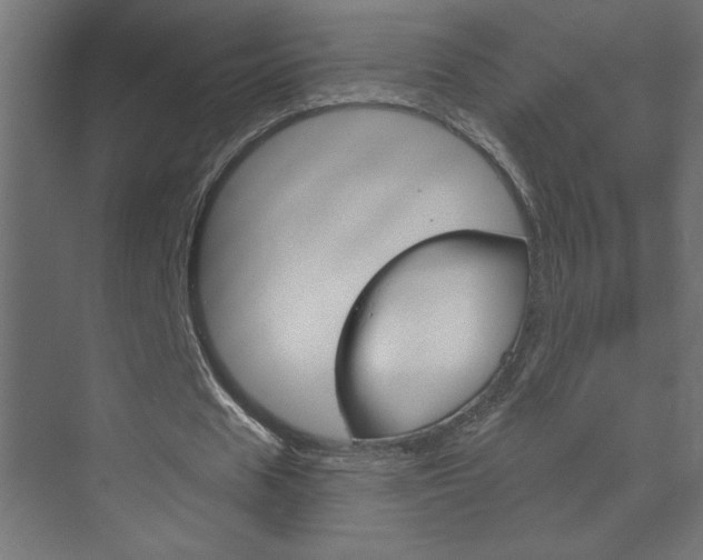 X0000070160625200605260939